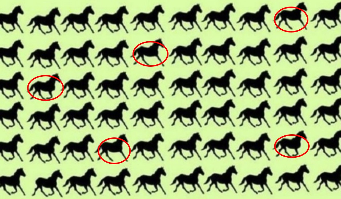 ¿Puedes encontrar los 5 caballos de tres patas en este reto viral?