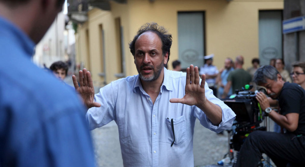 Luca Guadagnino Call Me By Your Name