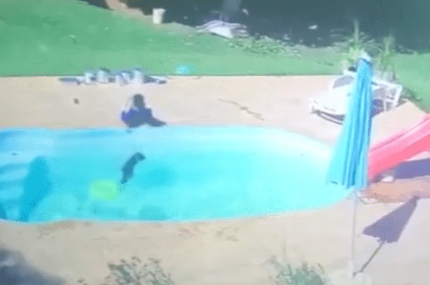Niño de tres años salva a su mejor amigo de ahogarse en una alberca