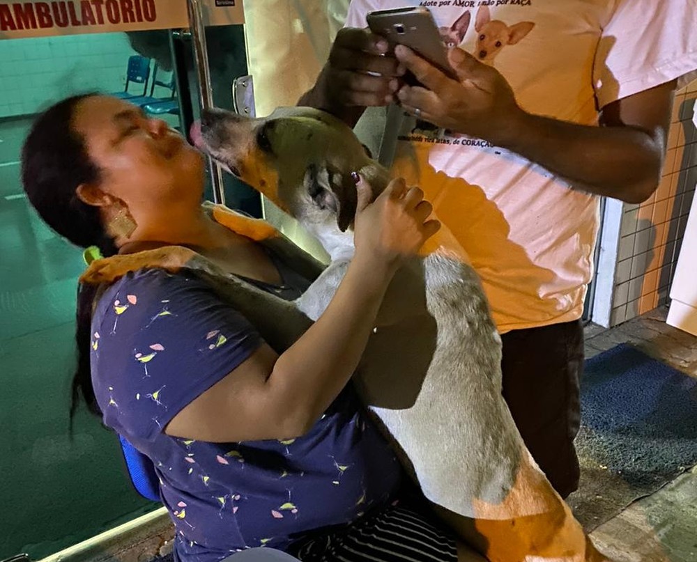 Mujer adopta al perrito que la consoló cuando su madre murió por coronavirus