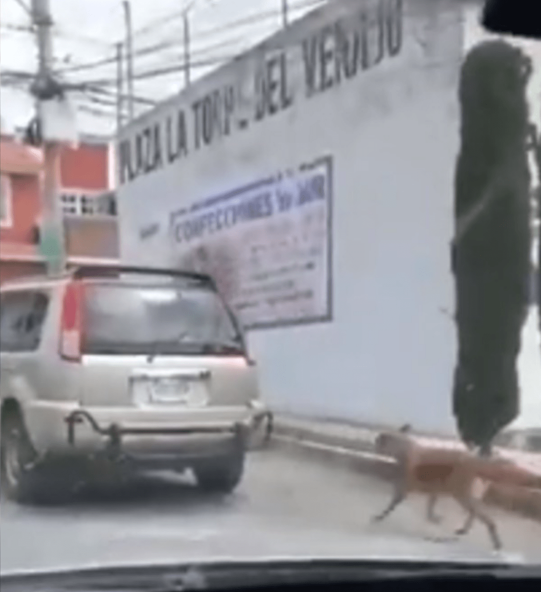 ¡Malditos! Perrito es amarrado a una camioneta y arrastrado por las calles de Hidalgo