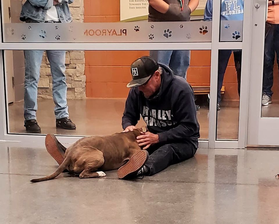 Un hombre y su perro se reúnen tras 200 días separados y su reacción es maravillosa