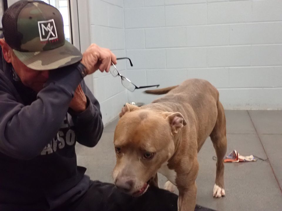 Un hombre y su perro se reúnen tras 200 días separados y su reacción es maravillosa