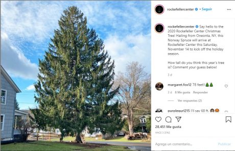 El tradicional árbol de Navidad llega a Nueva York para dar un poco de esperanza