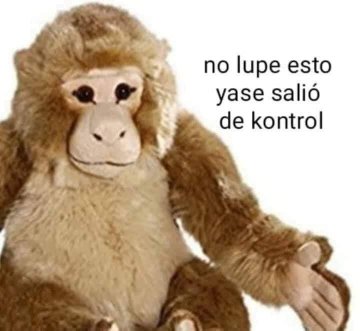 La historia detrás del meme: El origen de los changuitos Joakin y Lupe